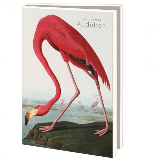 Kaartenmapje met env, groot: John James Audubon, Teylers Museum