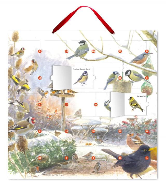 Adventskalender: Winterbirds, Elwin van der Kolk