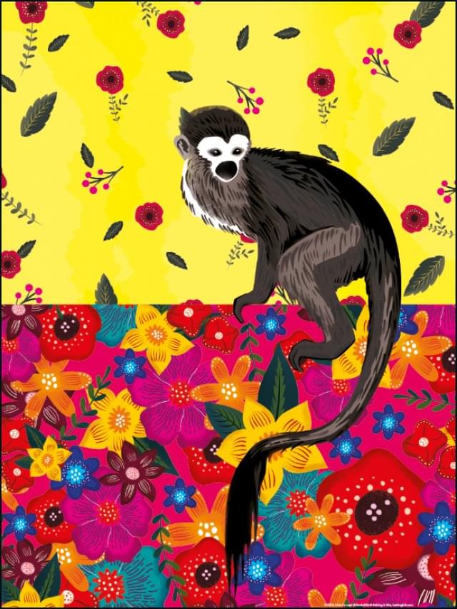 Poster: Monkey, Frida 