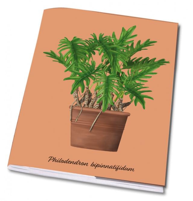 Schrift A5: Philodendron bipinnatifidum, Kelly van Koppenhagen, Hortus Botanicus Amsterdam