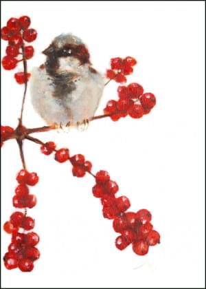 Seasons Birds, Sterretje, Angelique Weijers