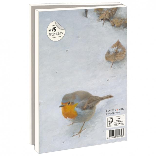 Kaartenmapje met env, groot: Winterbirds, Elwin van der Kolk