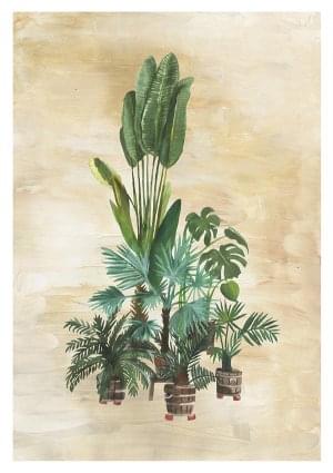 Plant family, Marie Bodié