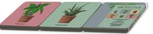 Onderzetters: Houseplants, Kelly van Koppenhagen, Hortus Botanicus Amsterdam