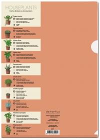 L-mapje A4 formaat: Houseplants, Kelly van Koppenhagen, Hortus Botanicus Amsterdam