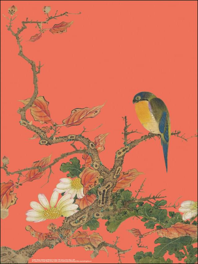 Poster: Album of birds and flowers (rood), Hu Feitao, Chester Beatty