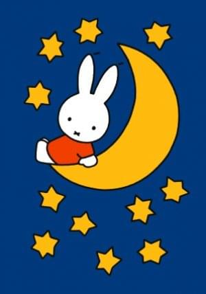 Nijntje - Miffy - Nijntje op de maan/ST, Dick Bruna