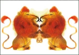Raar (leeuwen), Mark Janssen, Uitgeverij Lemniscaat