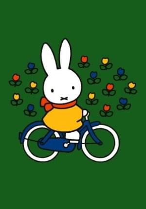 Nijntje - Miffy op de fiets/ST, Dick Bruna