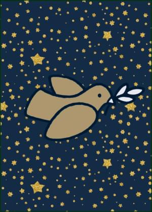 Vredesduif, Dick Bruna, Amnesty International