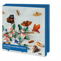 Kaartenmapje met env, vierkant: Butterflies and Other Insects, The Fitzwilliam Museum