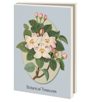 Kaartenmapje met env, groot: Botanical Treasures, Chester Beatty