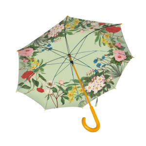 Paraplu: Botanical Treasures, Chester Beatty