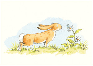 Guess How Much I Love You, Sam McBratney and Anita Jeram