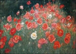 Papaverbed-Flowering poppies, Jacobus van Looy