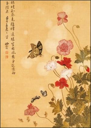 Poppies and butterflies, Ma Yuanyu