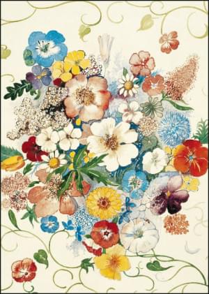 Illustration Album ' Bloemen in onzen tuin', Jac. J. Koeman