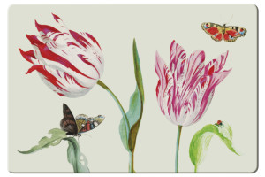 Placemat: Tulpen/Tulips, Jacob Marrel, Collection Rijksmuseum Amsterdam