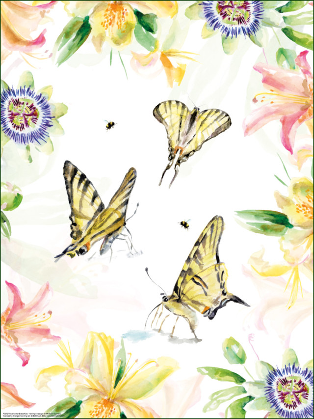 Poster: Passion for Butterflies (Koninginnepages), Michelle Dujardin