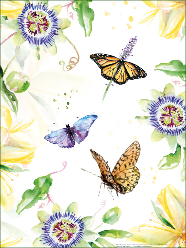 Poster: Passion for Butterflies (Arctische parelmoervlinder en Monarchvlinder), Michelle Dujardin