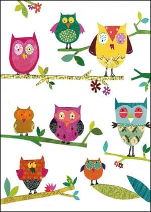 Owls, Suzanna Khushi