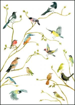 Birds, Alice Appleton