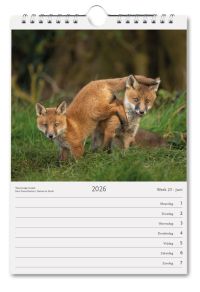 Nederland Natuurland weekkalender 2026