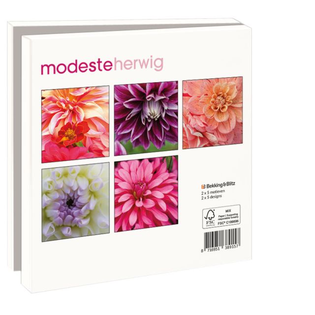 Kaartenmapje met env, vierkant: Dahlias, Modeste Herwig