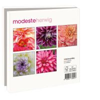 Kaartenmapje met env, vierkant: Dahlias, Modeste Herwig