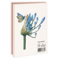 Kaartenmapje met env, klein: Vlinders, Nicole Boerema