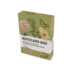 Notecard box: Maria Sibylla Merian, Rijksmuseum Amsterdam