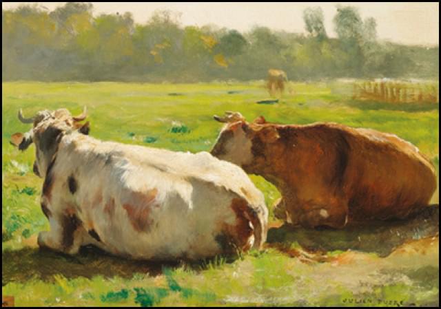Cows in a field, Julien Dupré, Singer, Laren