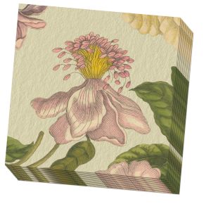 Servetten: Flowers, Maria Sibylla Merian, Rijksmuseum