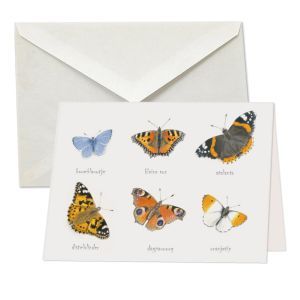 Vlinders, Atalanta, Elwin van de Kolk 