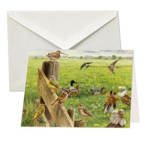 Vogels op een veld, Elwin van de Kolk, Vogelbescherming