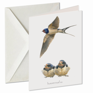 Boerenzwaluw, Elwin van de Kolk