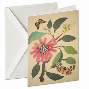 Bergamot, Geertje Aalders