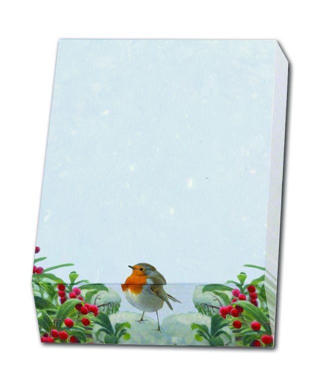 Memo blocnote: A Robin’s Winter, Elwin van der Kolk, Vogelbescherming Nederland