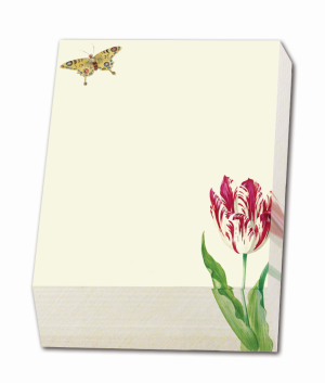 Memo blocnote: Twee Tulpen een schelp, Jacob Marrel, Rijksmuseum
