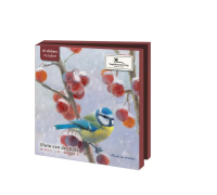 Kaartenmapje met env, vierkant: Birds in winter, Elwin van der Kolk, Vogelbescherming