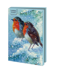 Kaartenmapje met env, groot: Robin in the winter, Brian Rushton