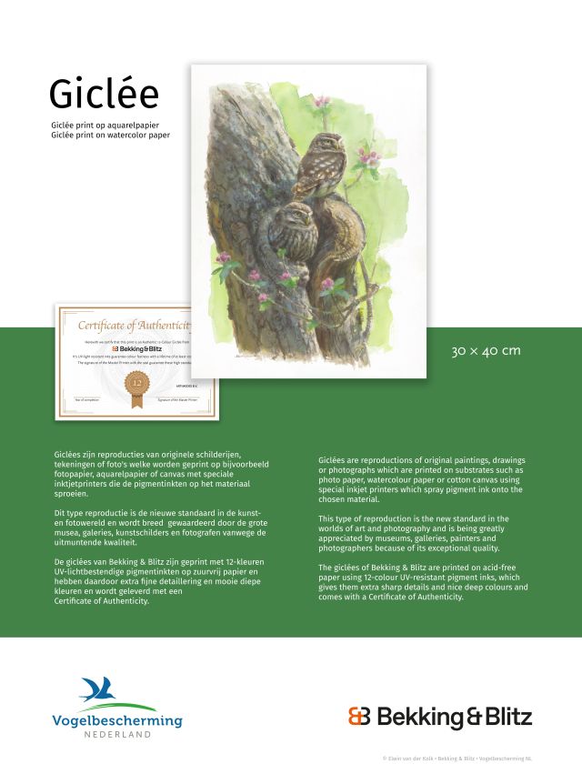 Giclée: 250e editie Vogelbescherming