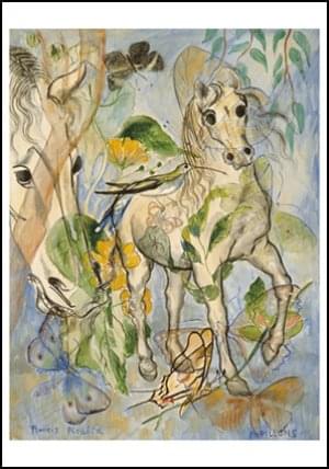 Papillons, Francis Picabia, Museum de Fundatie