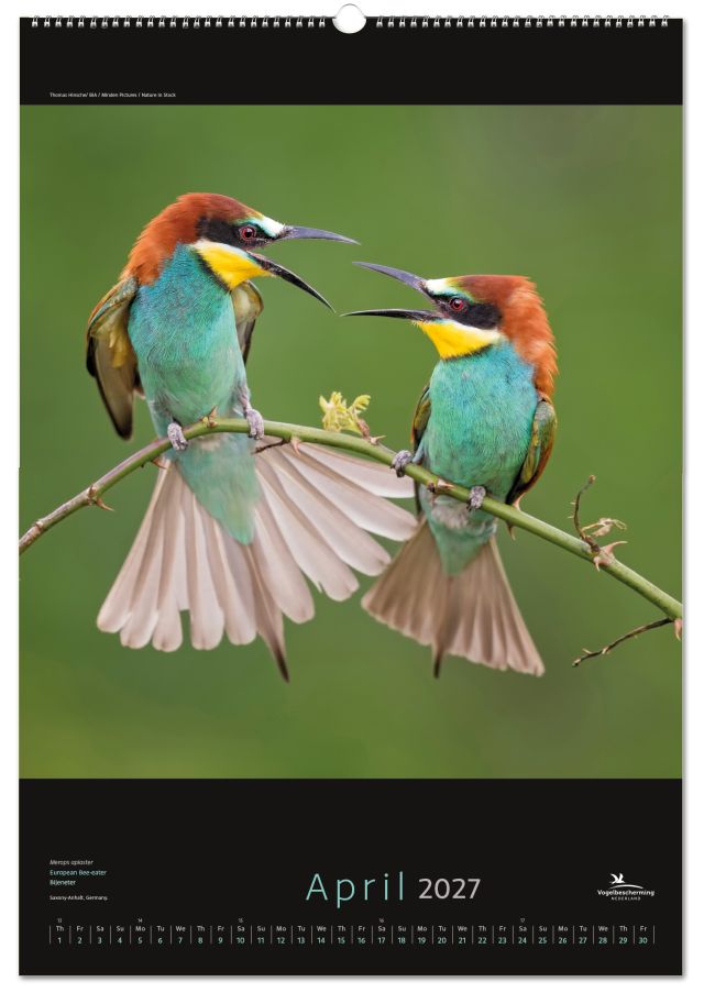 Birds posterkalender 2027, Vogelbescherming