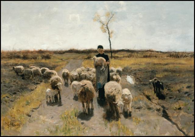 The Newborn lamb, Singer