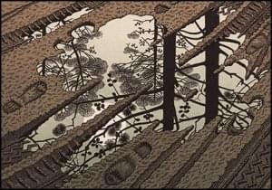 Puddle, M.C. Escher