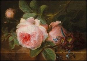 Rose, Cornelis van Spaendonck