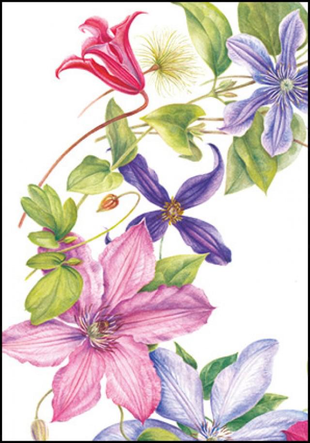 Clematis wreath, Anita Walsmit Sachs