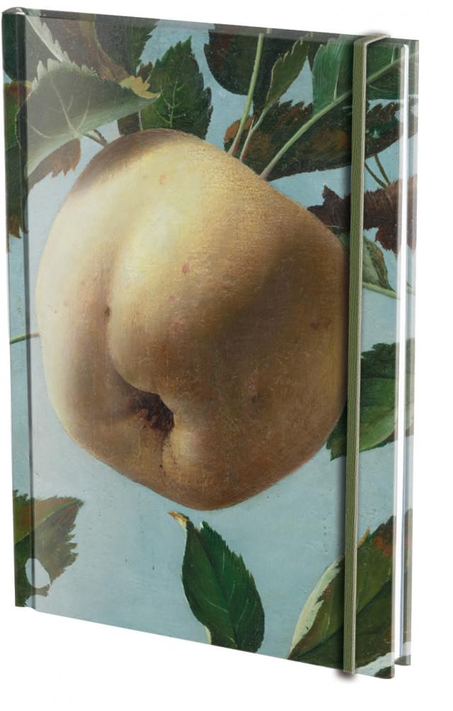 Notitieboek A5, harde kaft: Stilleven met appel, Pyke koch, Museum MORE