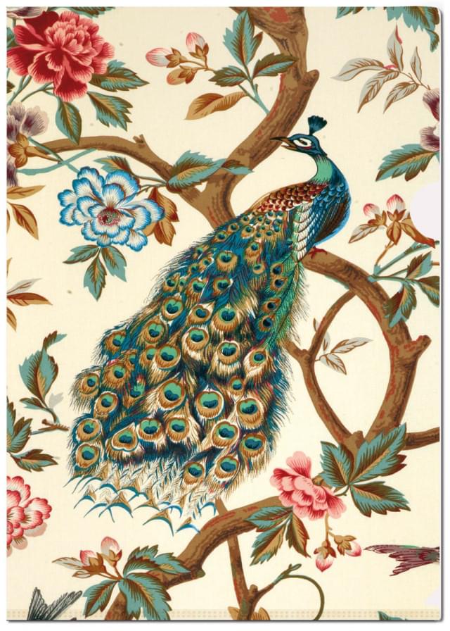 L-mapje A4 formaat: The Magnificent Peacock